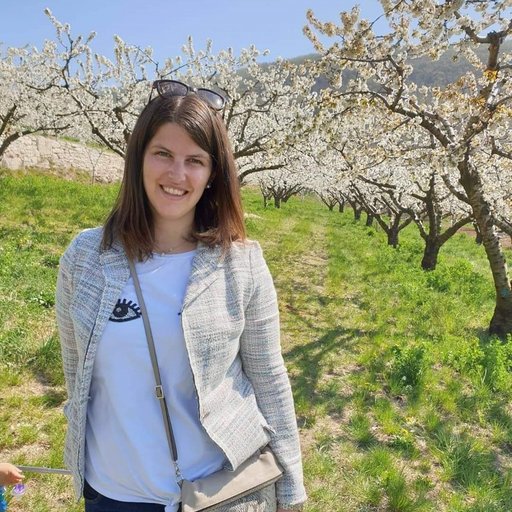 Michel room Michel room