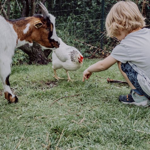 Milli, la mascotte dell’hotel Das Mühlwald Milli, la mascotte dell’hotel Das Mühlwald