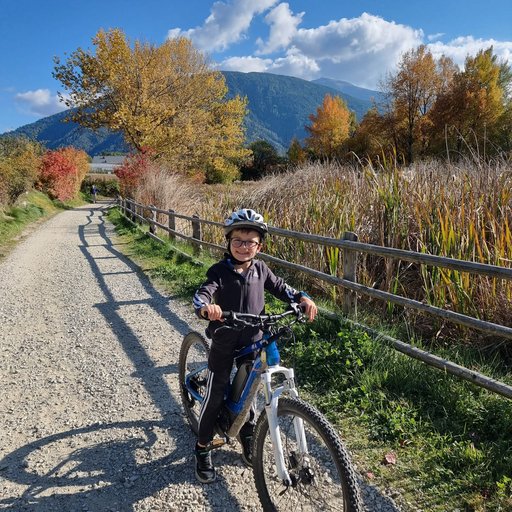 Michel room Michel room