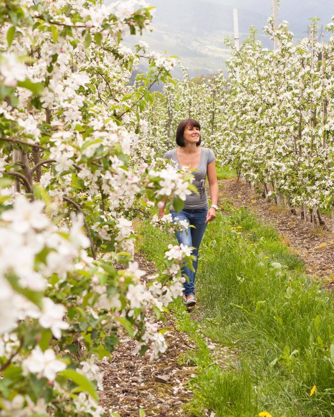 Familienhotel Südtirol - Das Mühlwald Familienhotel Südtirol - Das Mühlwald